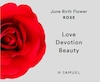 Thumbnail Image 4 of Sterling Silver Pearl Rose June Birth Flower June Necklace