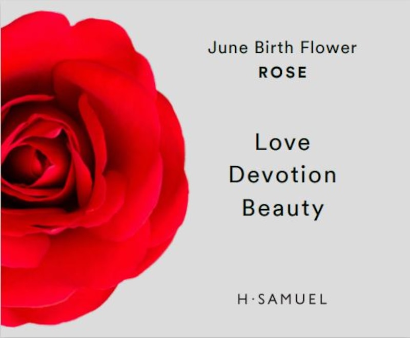 Sterling Silver Pearl Rose June Birth Flower June Necklace