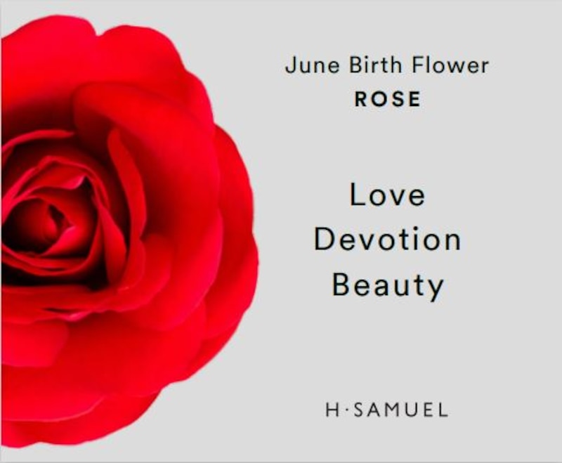 Main Image 4 of Sterling Silver Pearl Rose June Birth Flower June Necklace