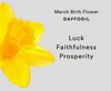 Thumbnail Image 4 of Sterling Silver CZ Daffodils March Birth Flower Necklace