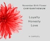 Thumbnail Image 4 of Sterling Silver CZ Chrysanthemum November Birth Flower Necklace