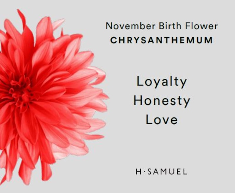 Main Image 4 of Sterling Silver CZ Chrysanthemum November Birth Flower Necklace