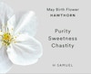 Thumbnail Image 4 of Sterling Silver CZ Hawthorn May Birth Flower Necklace