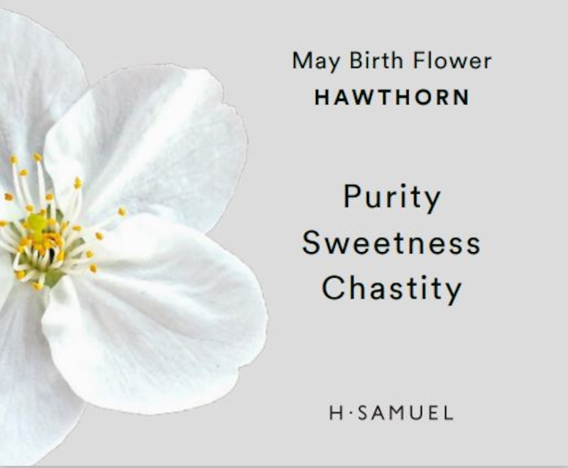 Main Image 4 of Sterling Silver CZ Hawthorn May Birth Flower Necklace