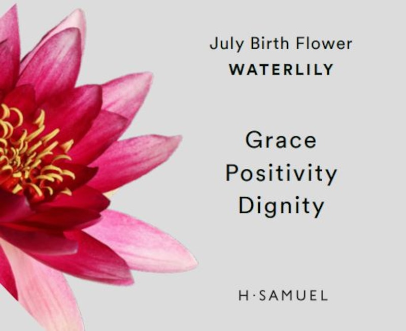 Sterling Silver CZ Waterlily July Birth Flower Necklace