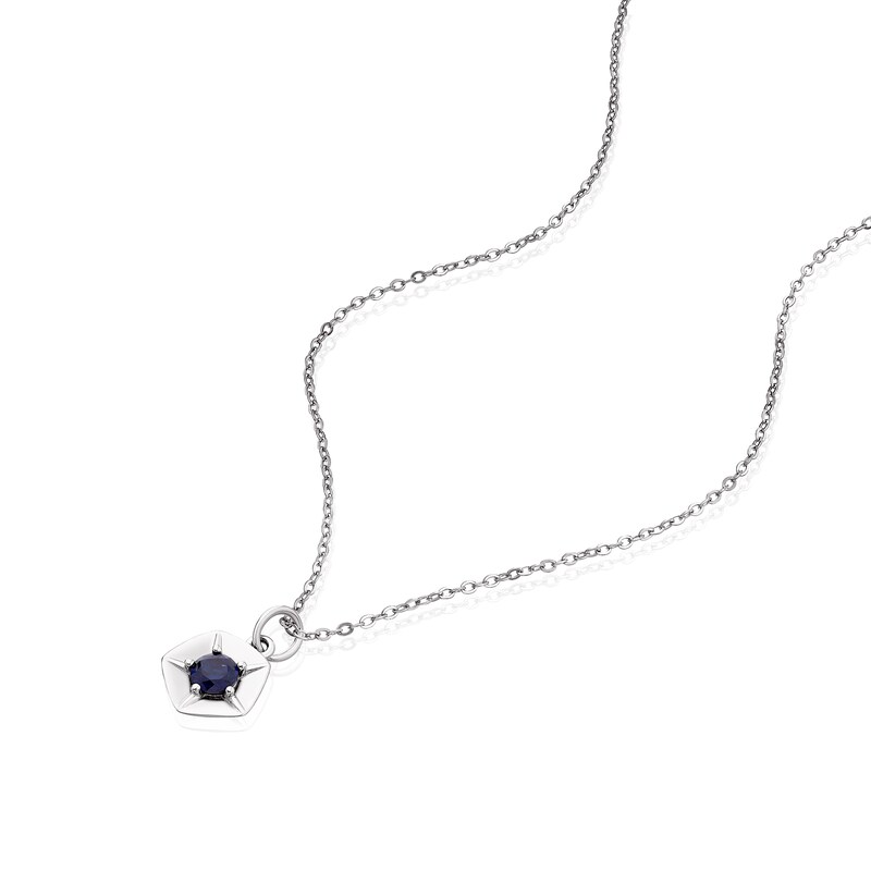 Main Image 2 of Sterling Silver Aster September Birth Flower Necklace