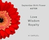 Thumbnail Image 4 of Sterling Silver Aster September Birth Flower Necklace