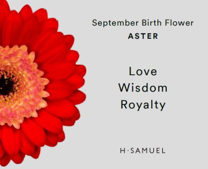 Main Image 4 of Sterling Silver Aster September Birth Flower Necklace