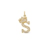 Thumbnail Image 0 of 9ct Yellow Gold & Cubic Zirconia Crown Initial S Charm