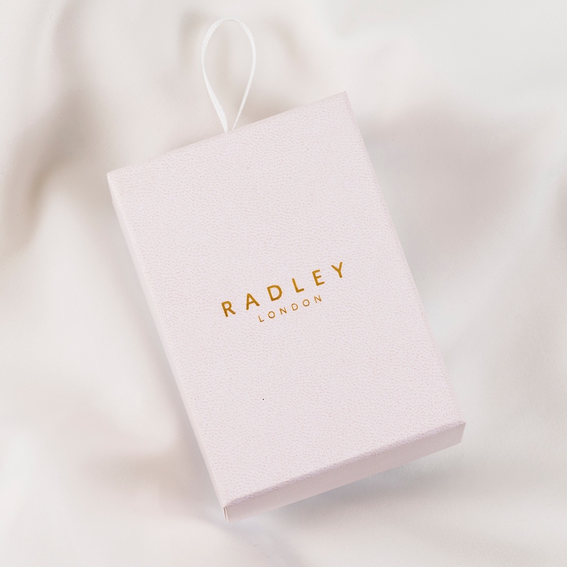 Radley Cobweb Ladies' Pink Leather Strap Watch