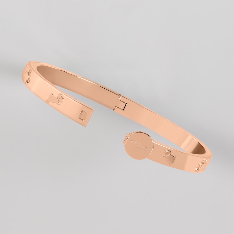 Main Image 2 of Radley Ladies' 18ct Rose Gold Plated Hinge Studded Bangle