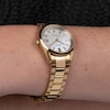 Thumbnail Image 9 of Accurist Ladies' Everyday 30mm Dial Gold Tone Stainless Steel Watch