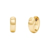 Thumbnail Image 0 of Michael Kors Premium Gold Tone Hoop Earrings