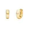 Thumbnail Image 1 of Michael Kors Premium Gold Tone Hoop Earrings