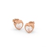 Thumbnail Image 3 of Radley 18ct Rose Gold Plated Sterling Silver Heart Earrings