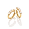 Thumbnail Image 0 of Hot Diamonds X Jac Jossa Calm 18ct Gold Plated MOP Earrings