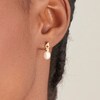 Thumbnail Image 2 of Ania Haie 14ct Gold Sterling Silver Pearl Drop Stud Earrings