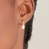 Ania Haie 14ct Gold Silver Pearl Drop Stud Earrings | H.Samuel