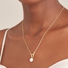 Thumbnail Image 2 of Ania Haie 14ct Gold Plated Pearl & CZ Pendant Necklace