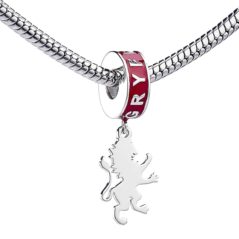Main Image 2 of Harry Potter Sterling Silver Red Enamel Gryffindor Slider Charm