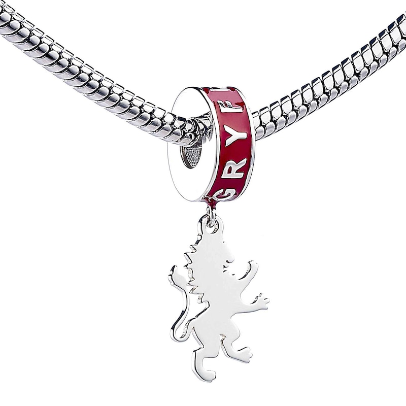 Harry Potter Sterling Silver Red Enamel Gryffindor Slider Charm