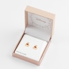 Thumbnail Image 2 of Disney Gold Plated Sterling Silver Winnie The Pooh Stud Earrings