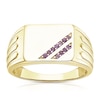 Thumbnail Image 0 of Men's Sterling Sterling Silver & 18ct Gold Plated Vermeil Amethyst Signet Ring
