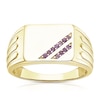 Thumbnail Image 1 of Men's Sterling Sterling Silver & 18ct Gold Plated Vermeil Amethyst Signet Ring