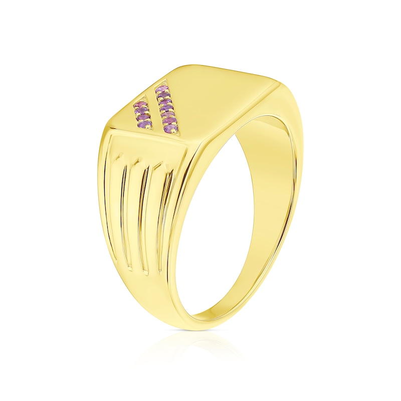 Main Image 2 of Men's Sterling Sterling Silver & 18ct Gold Plated Vermeil Amethyst Signet Ring
