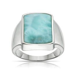 Men's Sterling Silver Green Larimar Signet Ring