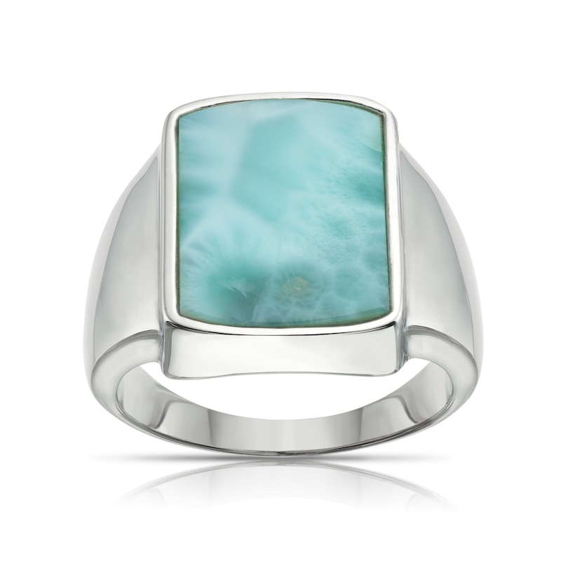 Main Image 1 of Men's Sterling Silver Green Larimar Signet Ring