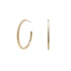 Thumbnail Image 1 of Olivia Burton Classic Ladies' Linear Gold Tone Hoop Earrings
