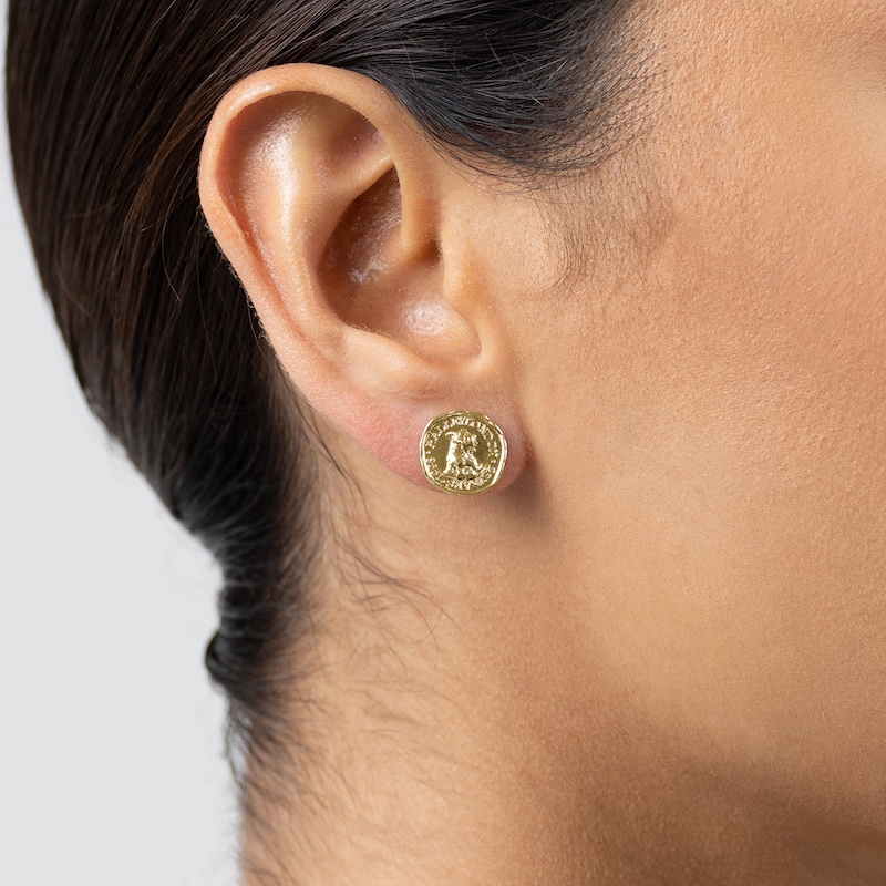 Main Image 2 of Radley Ladies' Signature Penny 10ct Gold Plated Hammered Penny Stud Earrings