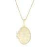 Thumbnail Image 0 of 9ct Yellow Gold Small Oval Flower Locket