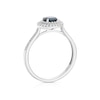 Thumbnail Image 3 of 9ct White Gold Diamond & Sapphire Double Halo Ring