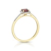 Thumbnail Image 3 of 9ct Yellow Gold Diamond & Princess Garnet Halo Ring