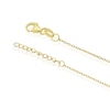 Thumbnail Image 3 of Sterling Silver Yellow Gold Plate Cubic Zirconia Watermelon Pendant Necklace