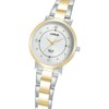 Thumbnail Image 2 of Lorus Solar Ladies' White Dial Two Tone Stainless Bracelet Watch