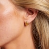 Thumbnail Image 3 of Hot Diamonds X Gold Edit Paris 18ct Gold Plated Shell Stud Earrings